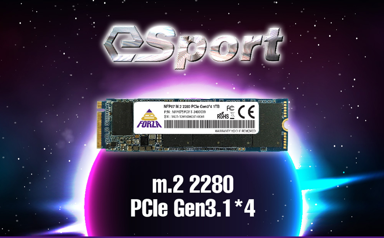 Neo Forza Solid State Disk